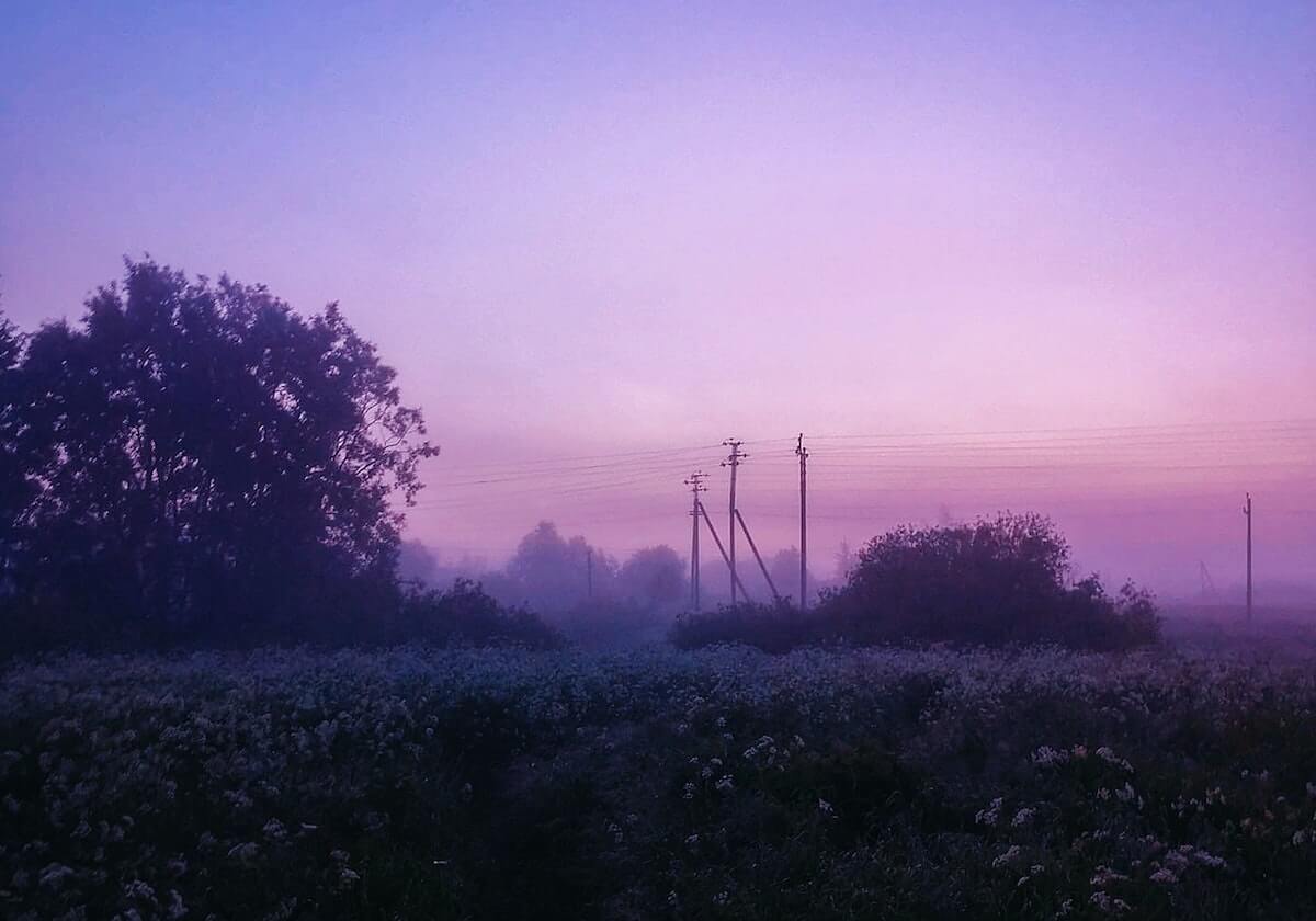 九游娱乐平台：开启极致娱乐的新纪元